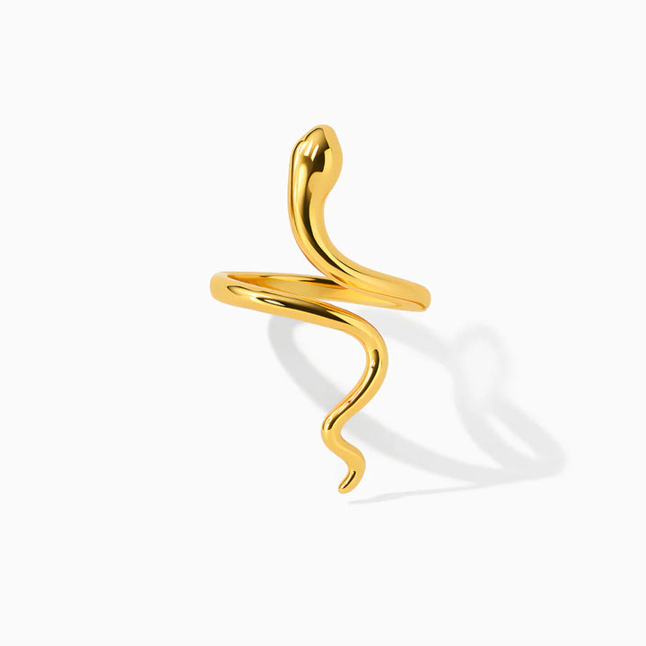 Prsten Renacer – Transformace a vnitřní síla