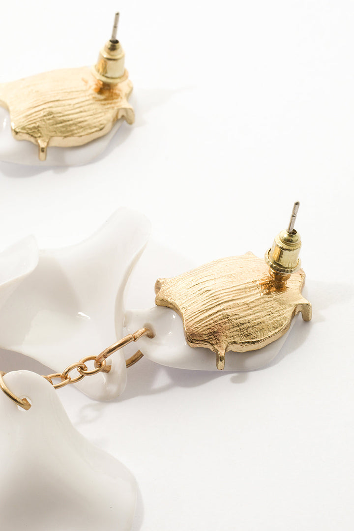 Orchidej Okvětní Plátky